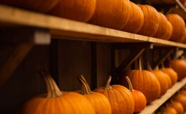 Wand aus Kürbissen in Klaistow an der Markthalle